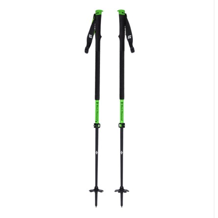 VAPOR CARBON 2 SKI POLES