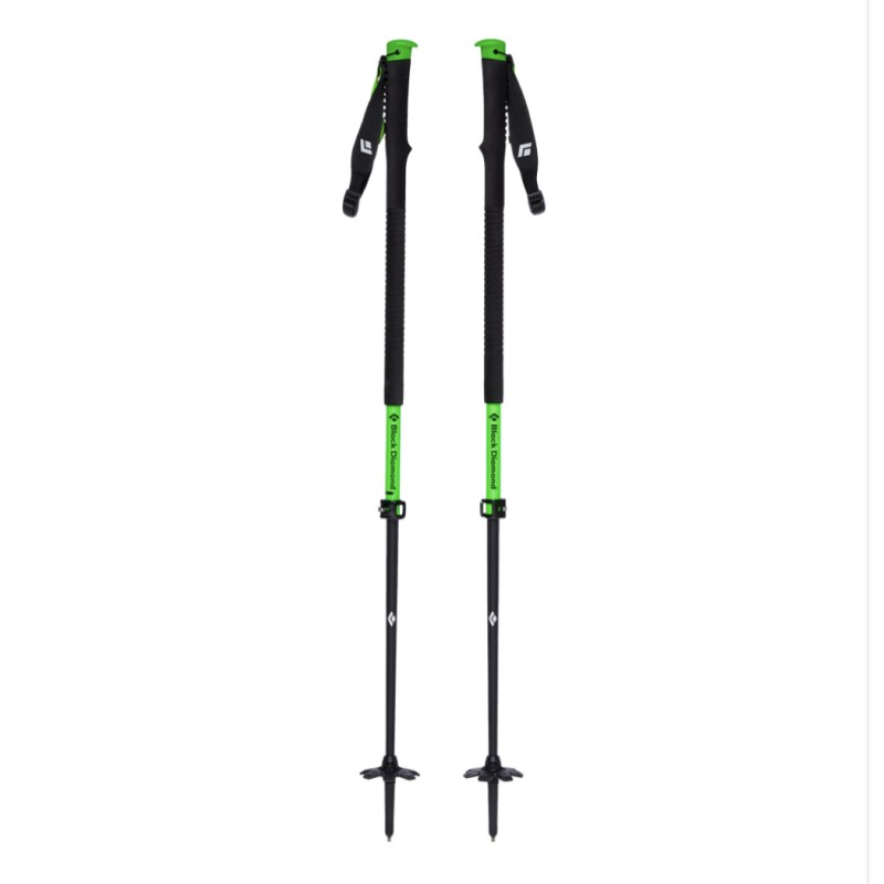 VAPOR CARBON 2 SKI POLES